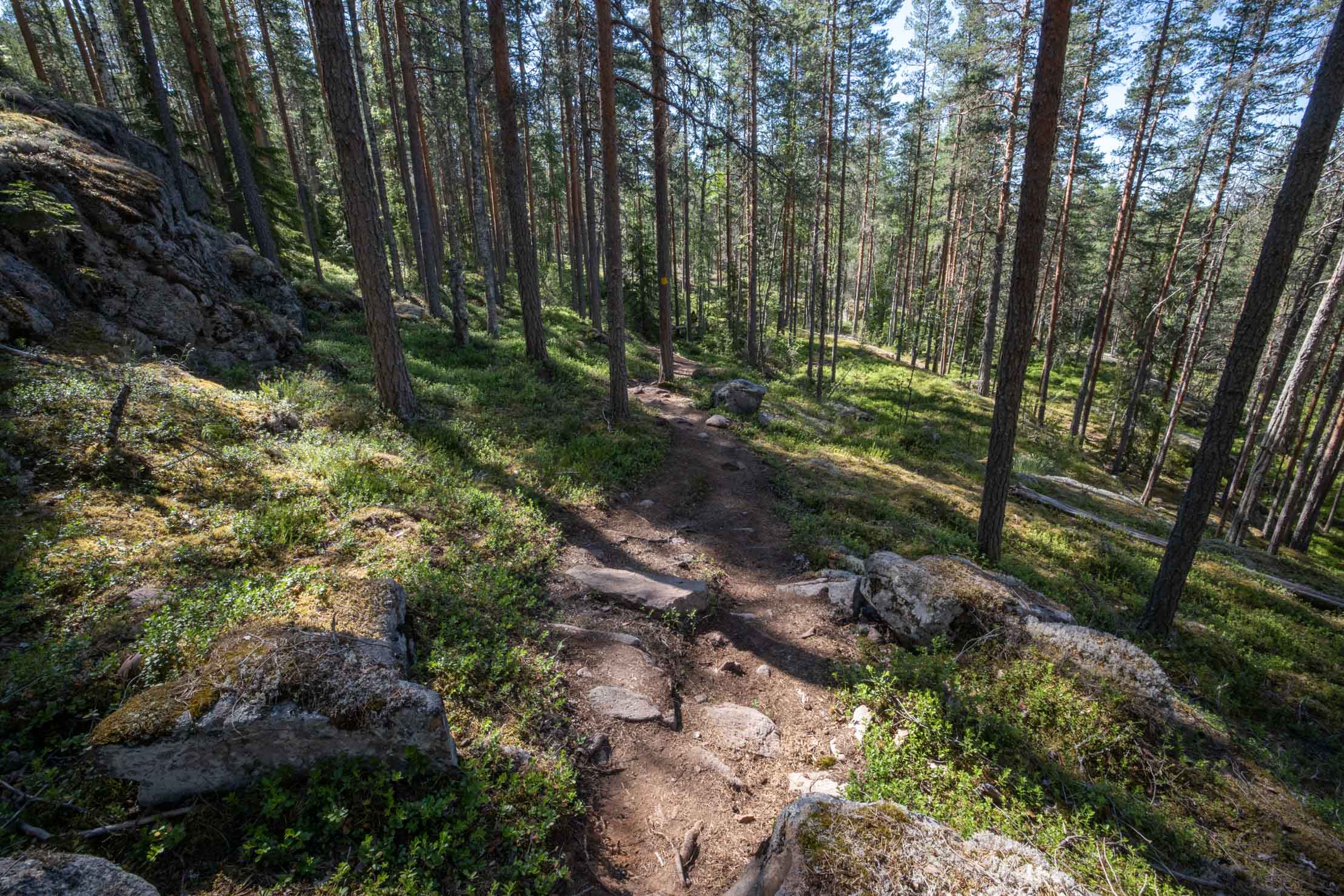 Etelä-Konneveden kansallispuisto