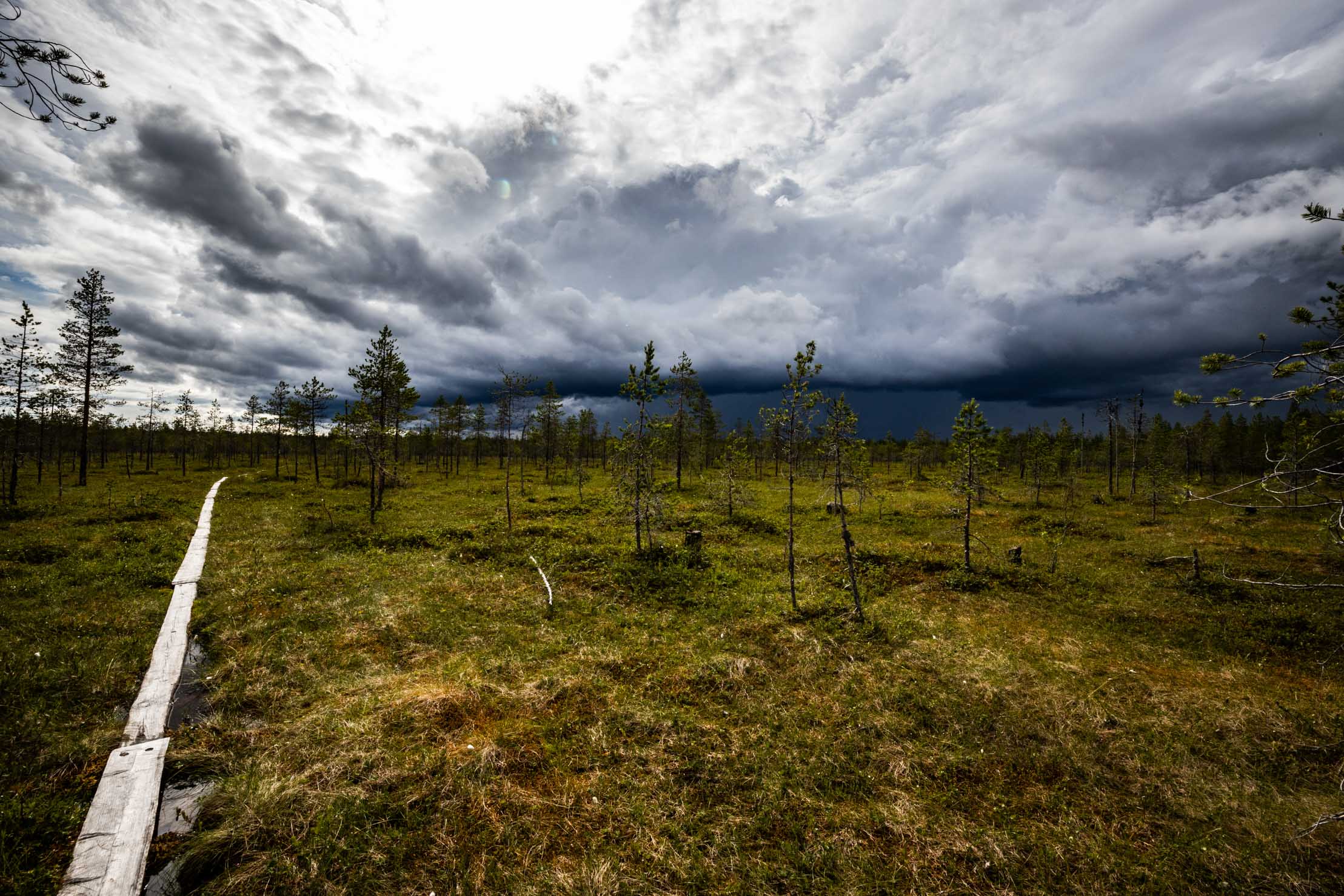 Myrskyreissu Tiilikkajärven kansallispuistoon