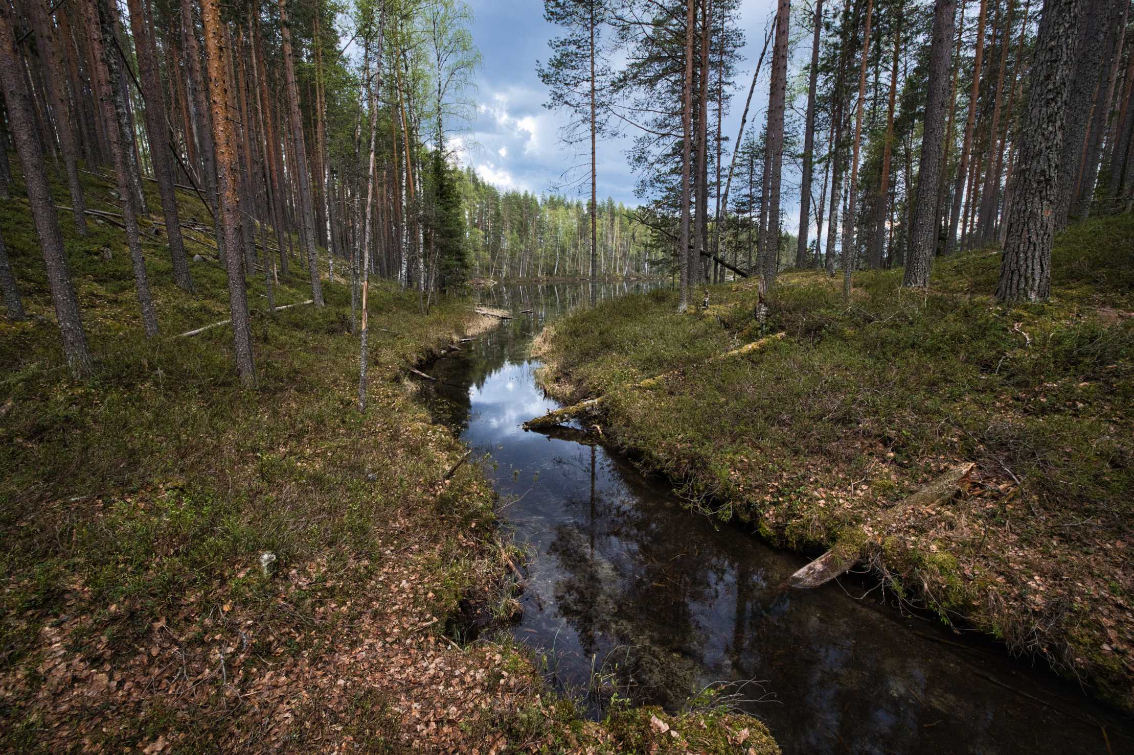 Petkeljärvi
